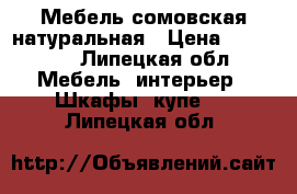 Мебель сомовская натуральная › Цена ­ 30 000 - Липецкая обл. Мебель, интерьер » Шкафы, купе   . Липецкая обл.